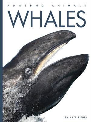 cover image of Whales